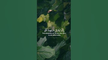 إِنَّمَا يَعْمُرُ مَسَاجِدَ اللَّهِ | سورة التوبة ❤️