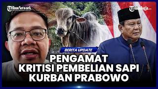 PENGAMAT KRITIK PRABOWO SEUSAI BELI SAPI KURBAN PAKAI APBN: IDEALNYA GUNAKAN ANGGARAN PRIBADI
