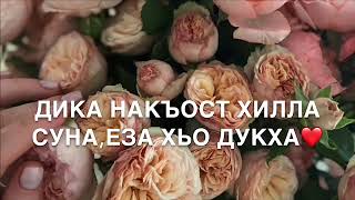 Дал декъал йойла хьо нен-йиш🌷