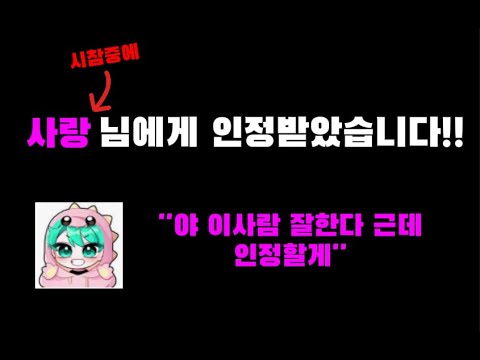 사랑님에게 인정받았습니다