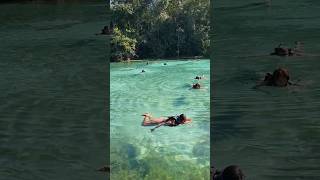 Flutuação na lagoa azul#matogrosso