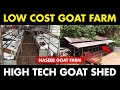 Low budget High tech Goat Farm | Goat shed plans and Designs | Goat Farming