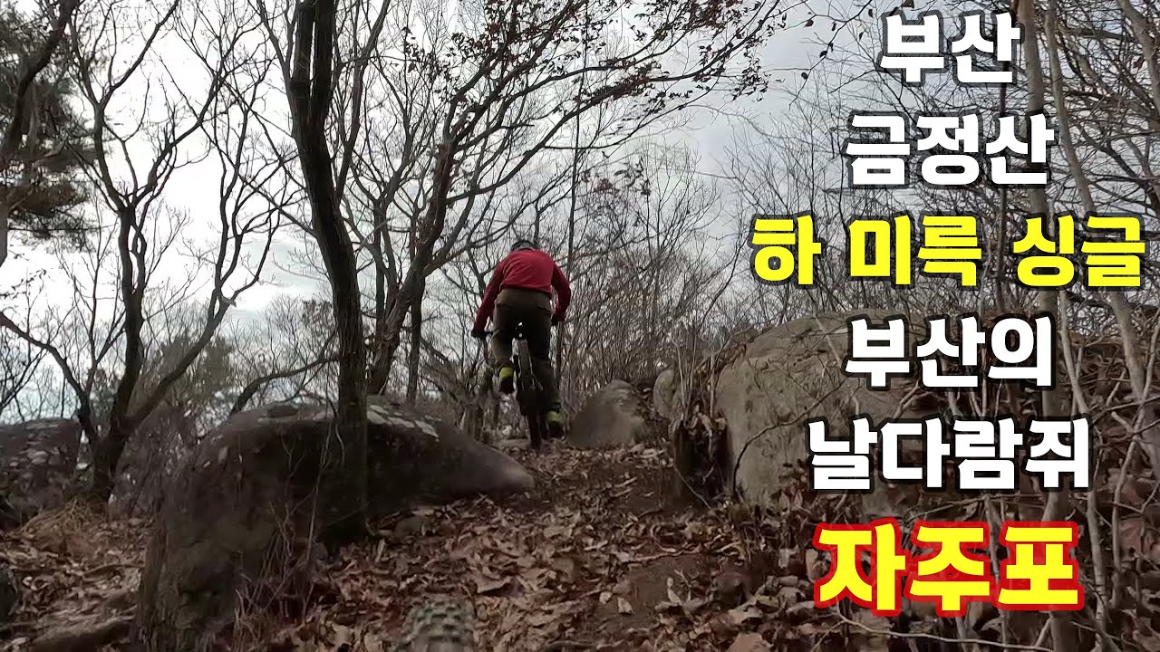 부산 금정산 하미륵 싱글. 부산의 날다람쥐 자주포~!#미륵싱글#자주포#금정산#라인eMTB클럽