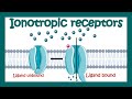 Ionotropic receptors | How do ionotropic receptors work? | Where ionotropic receptors are found?