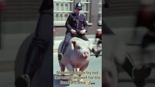 Police Test new transport in Bradford