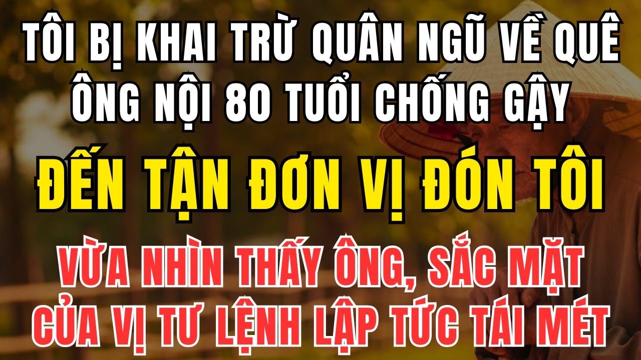 Tôi Bị Khai Trừ Quân Ngũ Về Quê – Nhưng Ông Nội Xuất Hiện Khiến Vị Tư Lệnh Tái Mặt Cúi Đầu