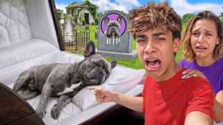 WE LOST GUCCI?! 😭💔 Ferran's Biggest Heartbreak! (The Royalty Family)