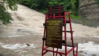 Wild Weather—Buttermilk Rage