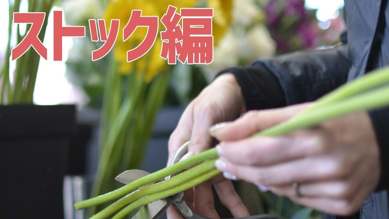 お花を長く楽しむ秘訣 ストック編 Youtube