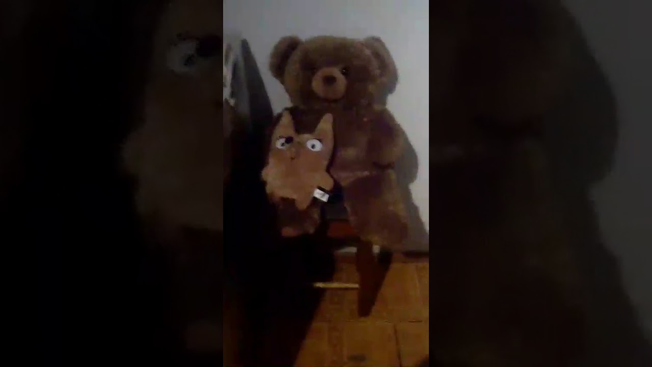 Медвежонок в машине