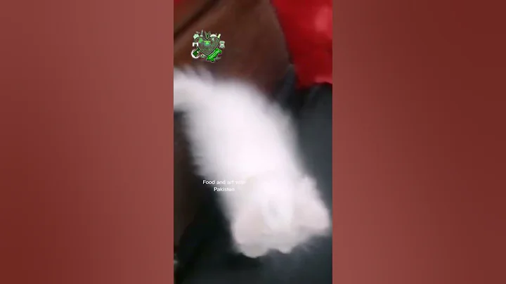 Video 191031: persiancat cutecat, persiancat cat, food persiancat, persiancat cute, kitten