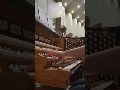 오르간전주곡 아 하나님의 은혜로 arr.강태숙 ,한영태