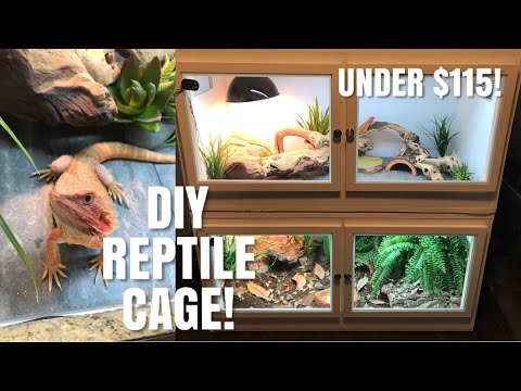 double reptile enclosure