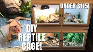 How To Build Your Own Reptile Enclosure! | Perfect for Bearded Dragons, Skinks + More