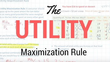 The Utility Maximization Rule