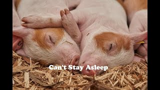 3 Common Reasons Why You Wake Up In The Middle Of The Night