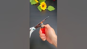 The Easiest Way To Sharpen A Scissors #lifehacks #shorts