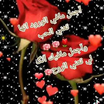 Download lagu aelk Taaa Ya Habibi Jad khalifeh