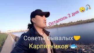 Советы бывалых. Познакомился с карпятником. Скоро рыбалка в городе Астана 2021 начнётся.