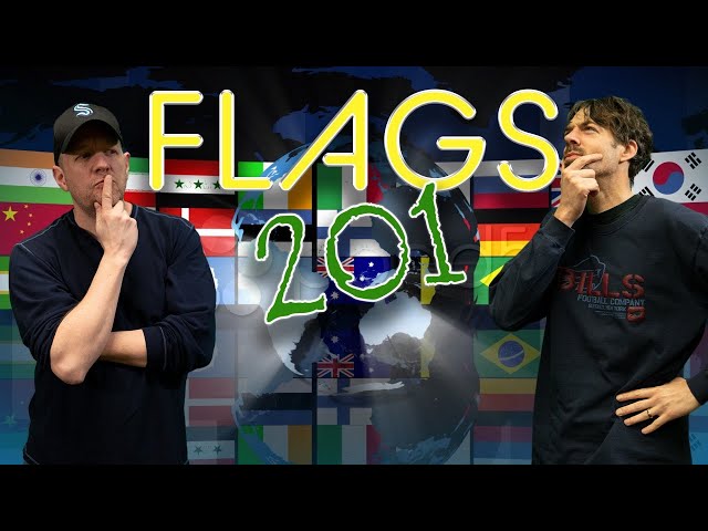 MDQL: Flags 201