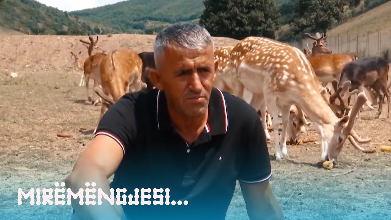 Dumnica e Vushtrrisë me një atraksion magjepsës