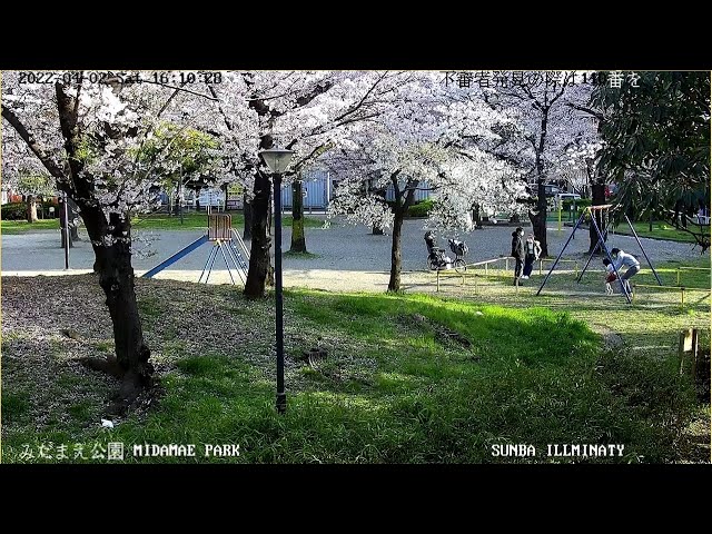 【 LIVE 】 東京都足立区立みだまえ公園 ライブカメラ SUNBA illminati 601-D25X ネットワークカメラ単体でYoutube Liveを使う TOKYOLIVECAMERA