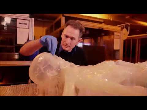 Vidéo: Oetzi: L'homme De Glace Des Alpes Tyroliennes - Vue Alternative