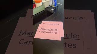 Macromolecule Organizer