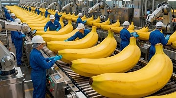 Inside a Banana Bread Factory – Incredible Automated Production Process | Farm to Factory
