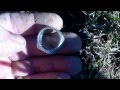 First Silver &amp; Jewelry Metal Detecting 2013 !