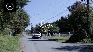 She’s Mercedes | 希少な日本在来馬種を保護育成し、忘れられたその魅力を発信する牧場 | メルセデス・ベンツ