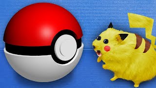 🐹 Pokemon   Hamster Maze with Traps 😱OBSTACLE COURSE