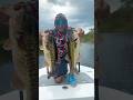 Chasing big bass🔥 #fishing #bassfishing