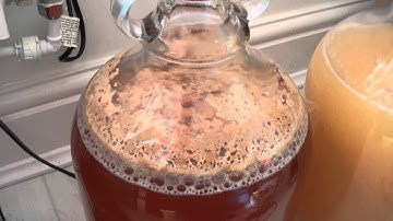 Home Brew Scrumpy Cider Update)