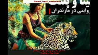 مینا و پلنگ (سعید احمدپور) رسانه مجازی مازندران