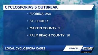 Cyclospora cases rise in Florida, with Palm Beach County leading locally