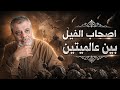 اصحاب الفيل بين عالميتين موافقات سننية عجيبة