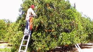 Ladder Safety_Spanish version