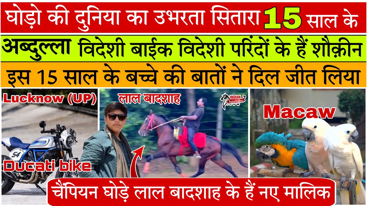 घोड़ो की दुनिया का उभरता सितारा 15 साल के अब्दुल्ला विदेशी बाईक विदेशी परिंदों के हैं शौक़ीन