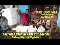 Rajabazar Narkeldanga Bakra Mandi | Baby Goat For Sale @₹550 - ₹600 P/Kg | Kolkata Goat Market #goat