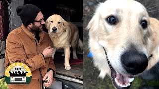 Dave kept running away from his previous owners and they had to give him up | The Asher House