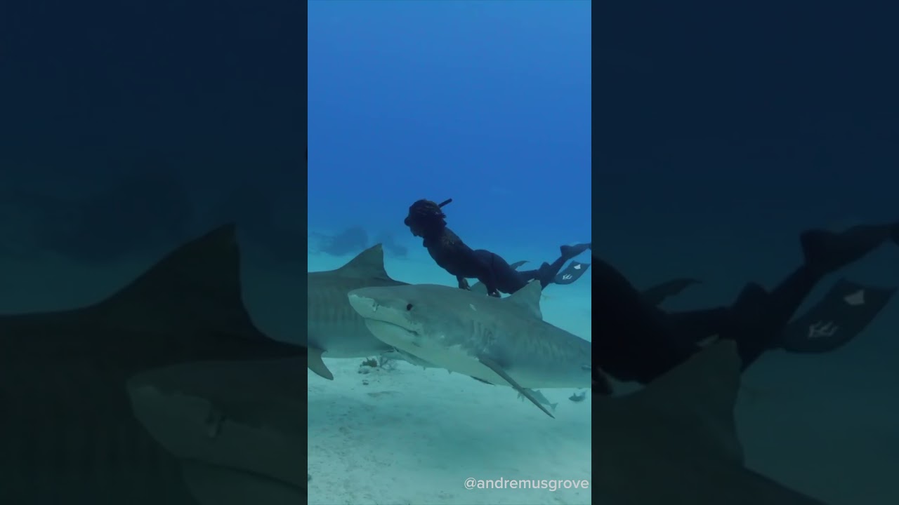 This Ocean Warrior's Training is INSANE