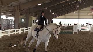 2018-03-17 IEA Zone 3 Finals - VO Championship