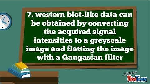 Digiwest (multiplex, bead-based immunoassay)