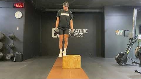 dumbbell lateral step up