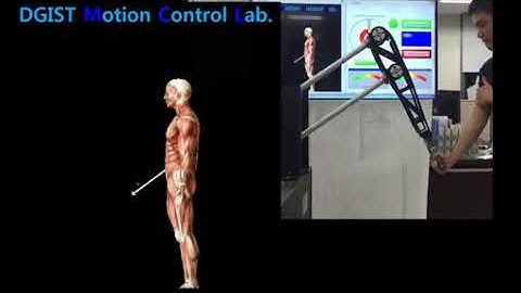 Novel Training Robot System for Muscular Exercise of Human