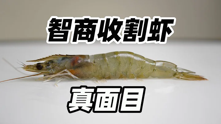 扒一扒智商收割蝦的真面目，吃明白它，更懂蝦 - 天天要聞