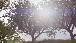 3DMark 2003 Game4 Mother Nature