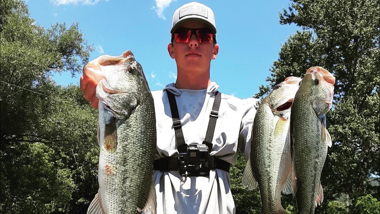Early Summer Bass Fishing! (Cherokee Lake) YouTube