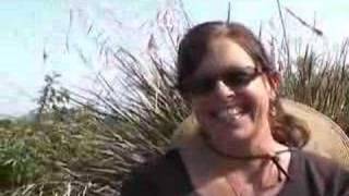 Creating School Garden Rules